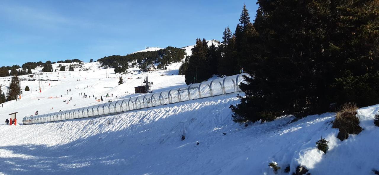 Studio Aux Pieds Des Pistes Roche Beranger شاروس المظهر الخارجي الصورة